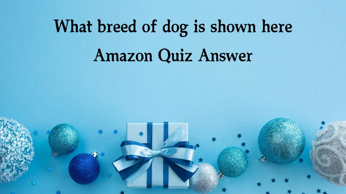 What breed of dog is shown here Amazon Quiz Answer Today January 15, 2025