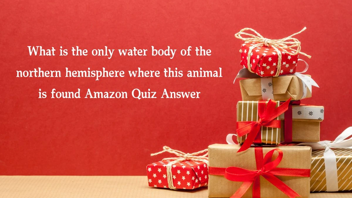 What is the only water body of the northern hemisphere where this animal is found Amazon Quiz Answer Today January 8, 2025