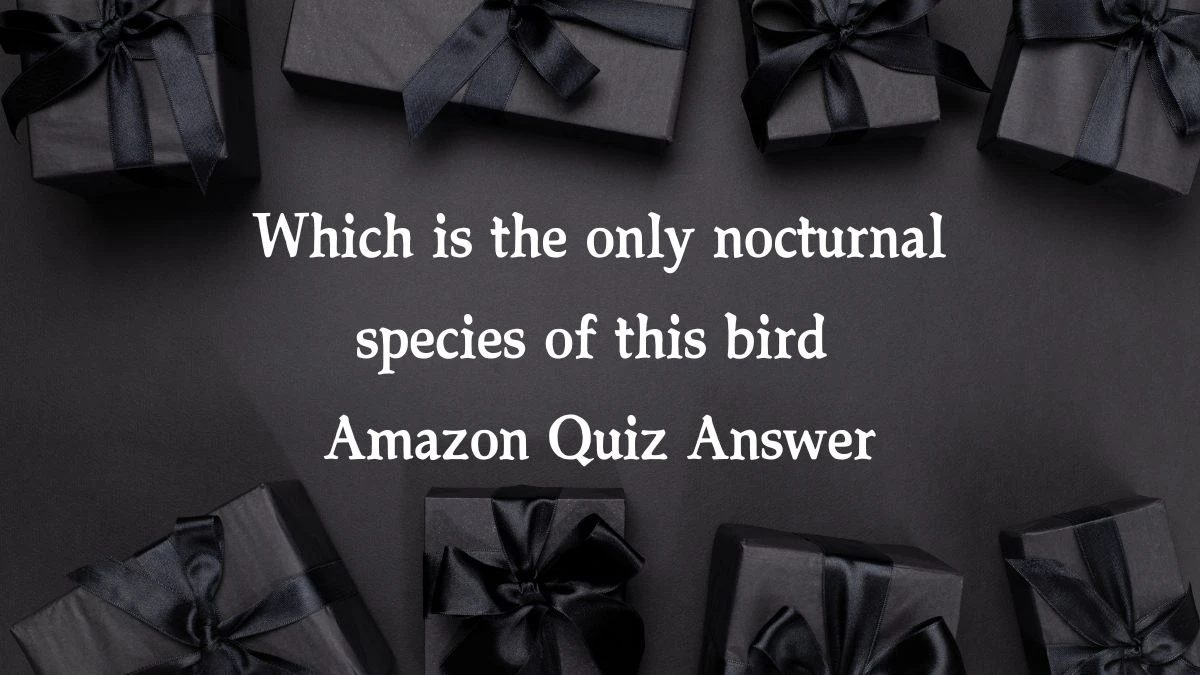 Which is the only nocturnal species of this bird Amazon Quiz Answer Today January 7, 2025