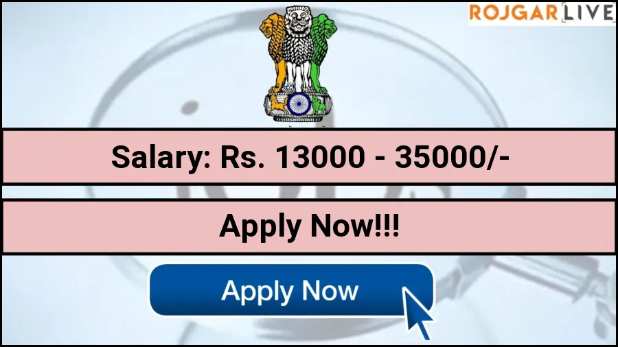 AMU Aligarh Muslim University Recruitment 2023 at ​amu.ac.in: Programme Manager, Accountant, More Vacancies Job Vacancies in Aligarh
