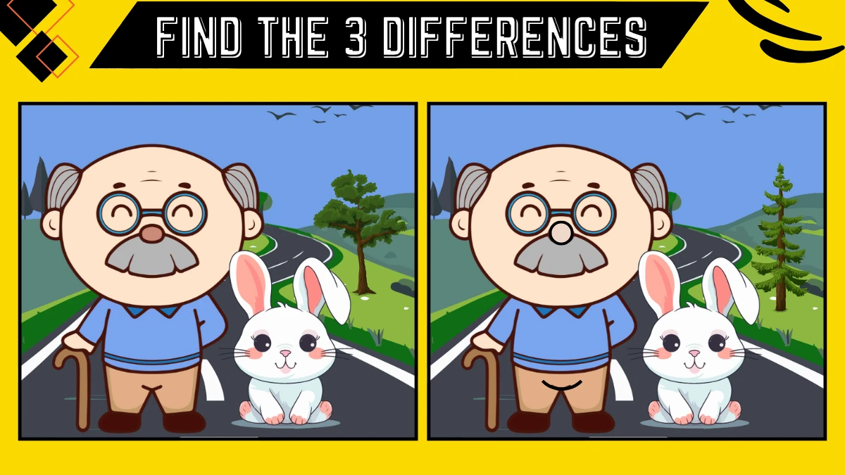 Spot the Differences: Find 3 differences between the grandpa and his rabbit pictures in 10 seconds! Picture Puzzle Game Spot the Differences: Find 3 differences between the grandpa and his rabbit pictures in 10 seconds! Picture Puzzle Game
