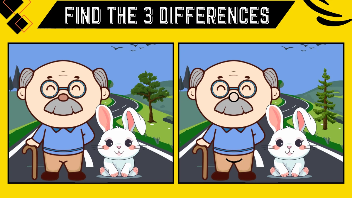 Spot the Differences: Find 3 differences between the grandpa and his rabbit pictures in 10 seconds! Picture Puzzle Game