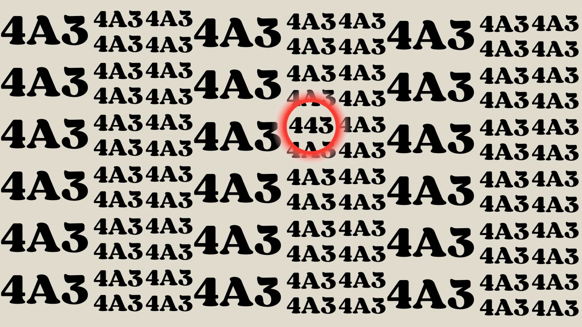 Observation Find it Out: Only Extra Sharp Eyes Can Spot the Number 443 in 7 Secs