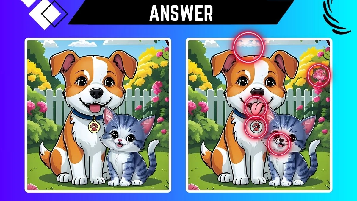 Spot the 5 Differences: Only X-Ray vision can Spot the 5 Differences in this Dog and Cat Image in 14 Secs Spot the 5 Differences: Only X-Ray vision can Spot the 5 Differences in this Dog and Cat Image in 14 Secs