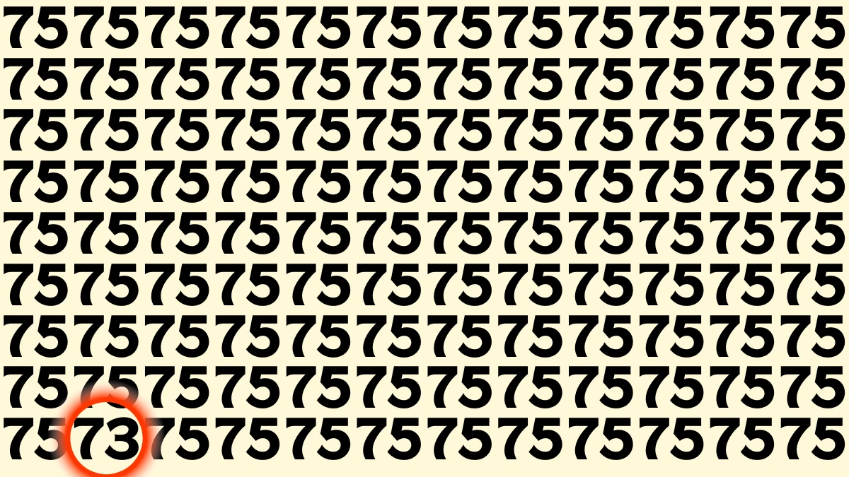 Optical Illusion Brain Test: Only high IQ individuals Can Spot the Number 73 in 8 Secs