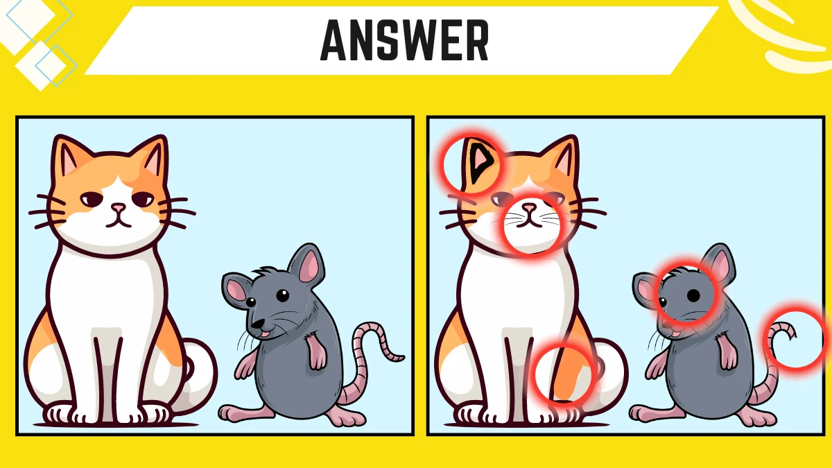 Spot the Difference Game: Only People with 20/20 Vision Can Spot the 5 Differences in this Cat and Rat Image in 15 Secs