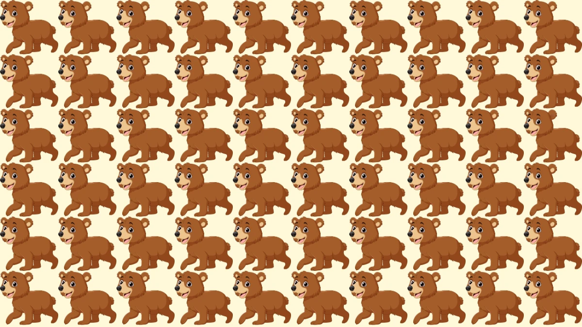 Find and Seek Puzzle: Find the Odd Bear in 7 Secs Brain Teaser image
