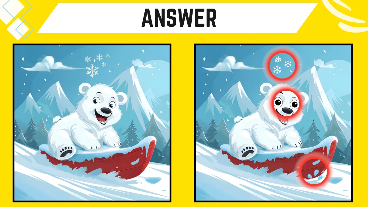 Spot the 3 Differences: Only Extra Sharp Eyes Can Spot the 3 Differences in this Polar Bear Image in 8 Secs | Picture Puzzle Game Spot the 3 Differences: Only Extra Sharp Eyes Can Spot the 3 Differences in this Polar Bear Image in 8 Secs | Picture Puzzle Game