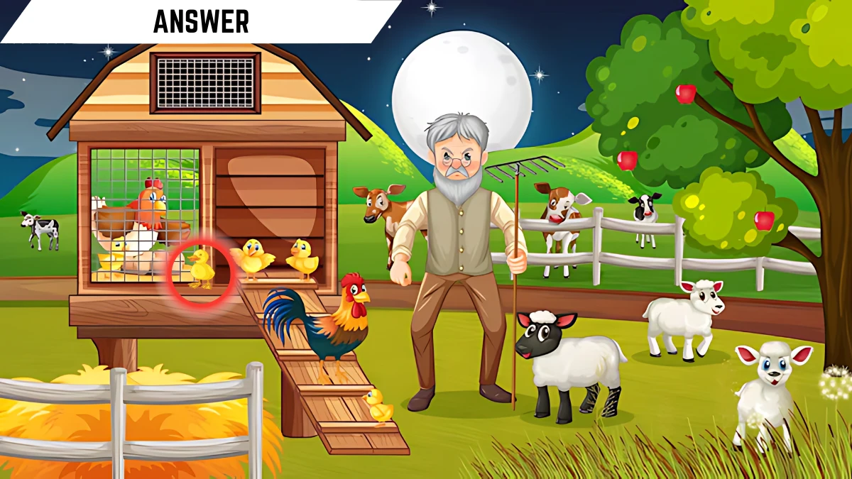 Optical illusion Visual Test: Only excellent vision Can Spot the Hidden Duck in 9 Secs Optical illusion Visual Test: Only excellent vision Can Spot the Hidden Duck in 9 Secs