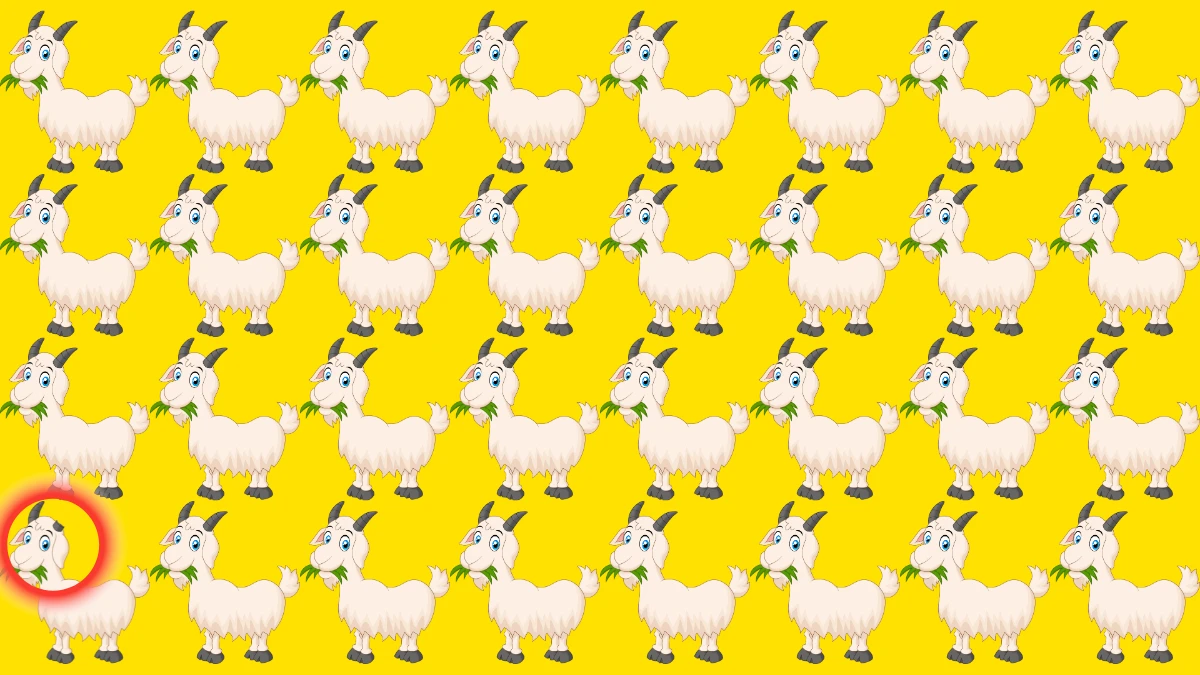 Find and Seek Puzzle: Only People with Hawk Eyes Can Spot the Odd Goat in 7 Secs Find and Seek Puzzle: Only People with Hawk Eyes Can Spot the Odd Goat in 7 Secs