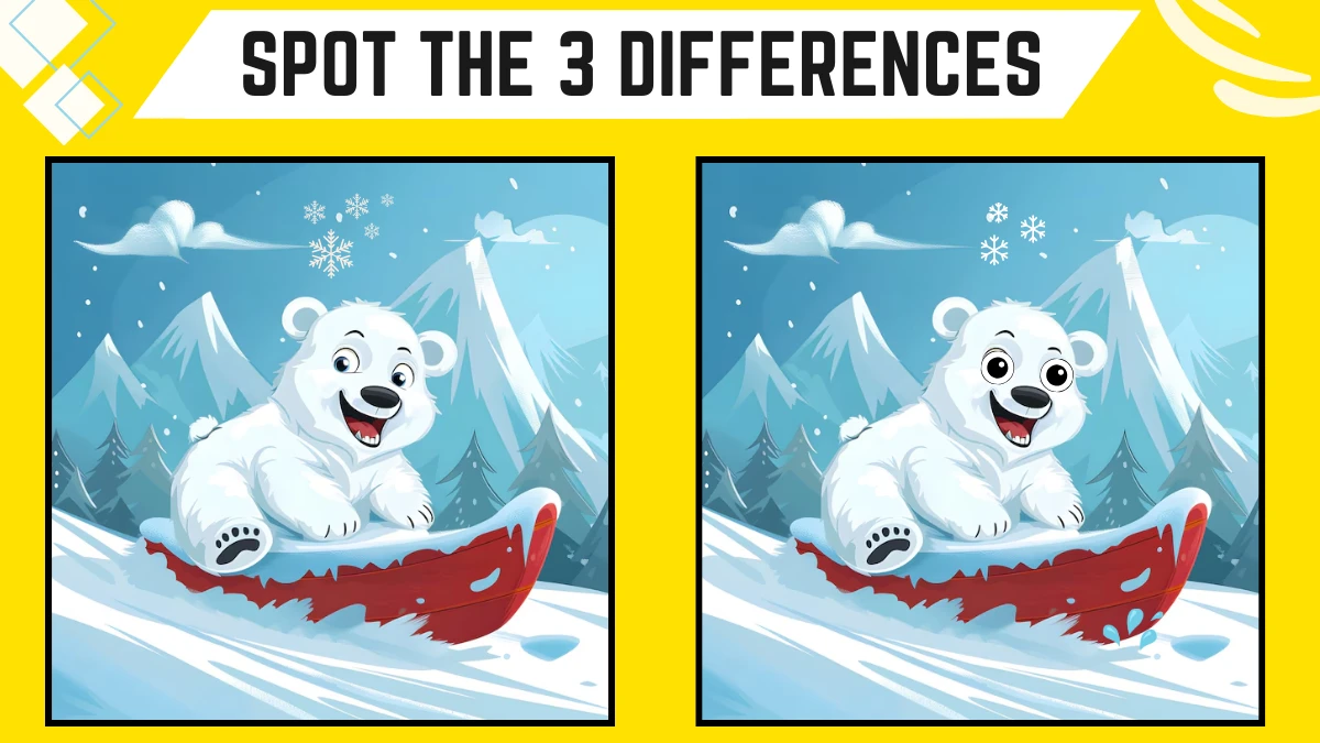 Spot the 3 Differences: Only Extra Sharp Eyes Can Spot the 3 Differences in this Polar Bear Image in 8 Secs | Picture Puzzle Game