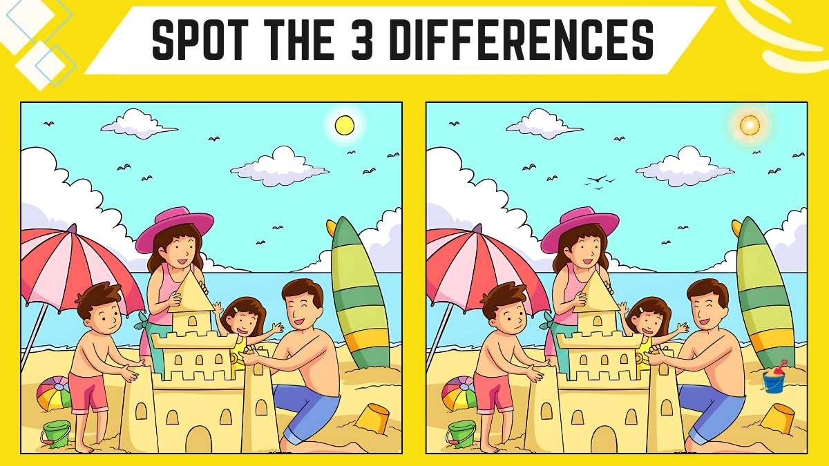 Spot the 3 Differences: Only People with Eagle Eyes Can Spot the 3 Differences in 8 Secs | Picture Puzzle Game