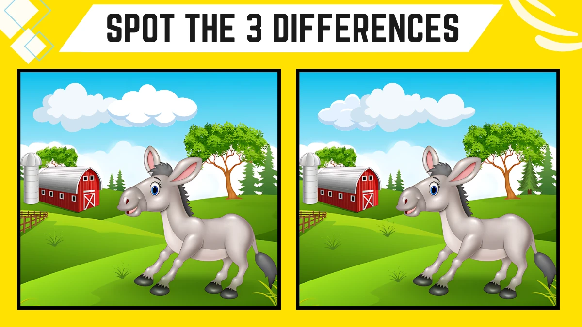 Spot the 3 Differences: Only Sharp Eyes Can Spot the 3 Differences in this Donkey Image in 8 Secs