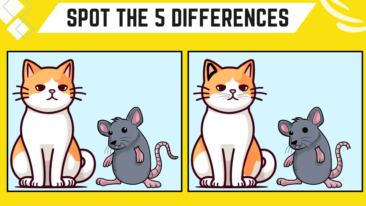 Spot the Difference Game: Only People with 20/20 Vision Can Spot the 5 Differences in this Cat and Rat Image in 15 Secs