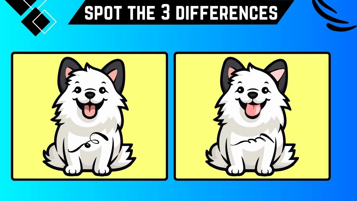 Spot the Difference Game: Only the Eagle eyes Can Spot the 3 Differences in this Dog Image in 9 Secs| Picture Puzzle Game