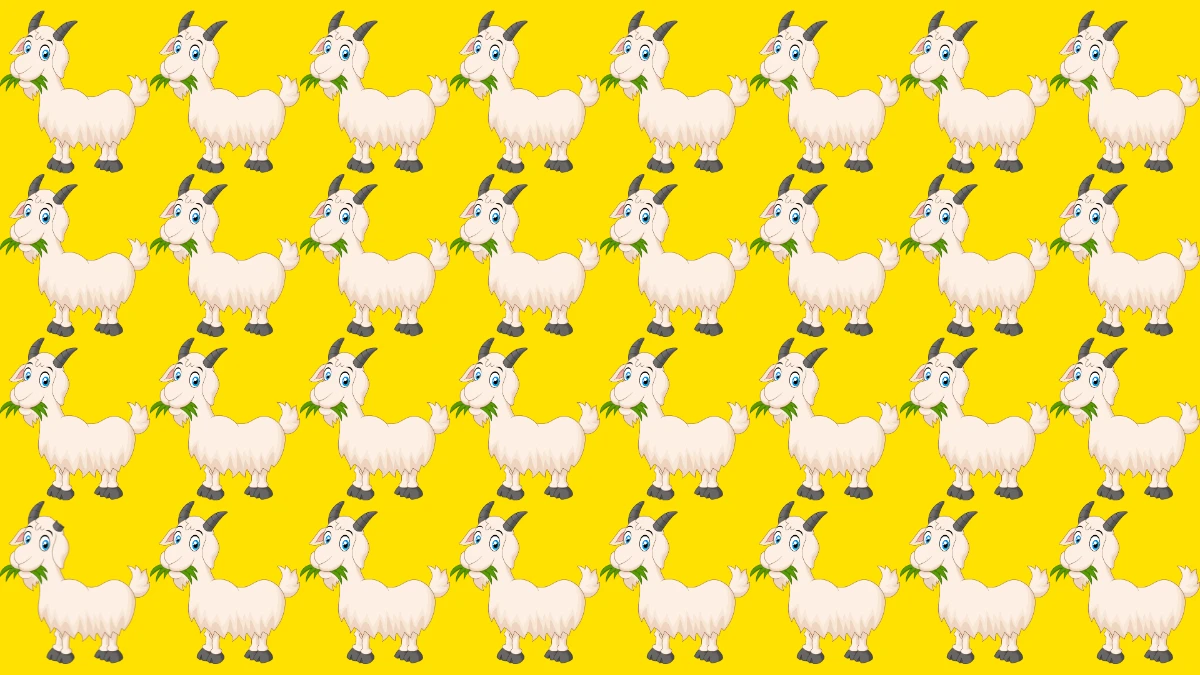 Find and Seek Puzzle: Only People with Hawk Eyes Can Spot the Odd Goat in 7 Secs Find and Seek Puzzle: Only People with Hawk Eyes Can Spot the Odd Goat in 7 Secs
