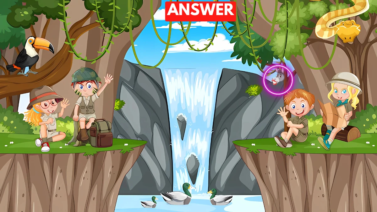 Optical Illusion Eye Test: Use you Sharp Eyes and Spot the Hidden Donkey in 7 Secs