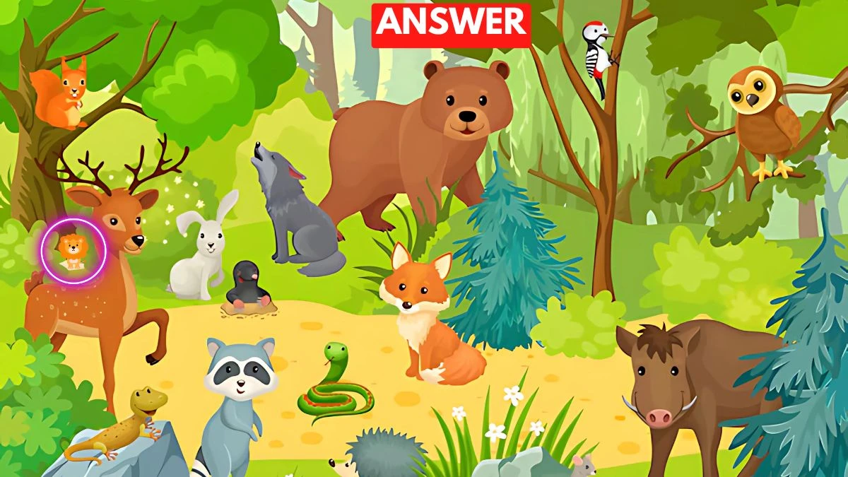 Optical Illusion: Only People with Extra Sharp eyes Can Spot the Hidden Lion in 6 Secs