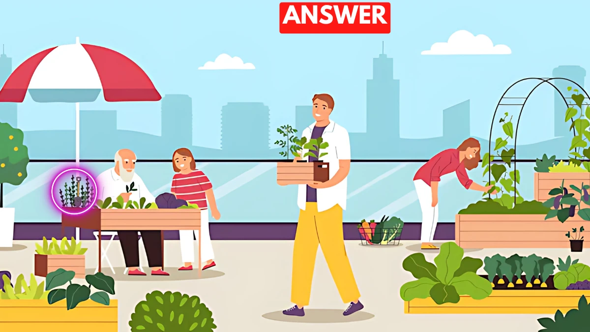 Optical Illusion image