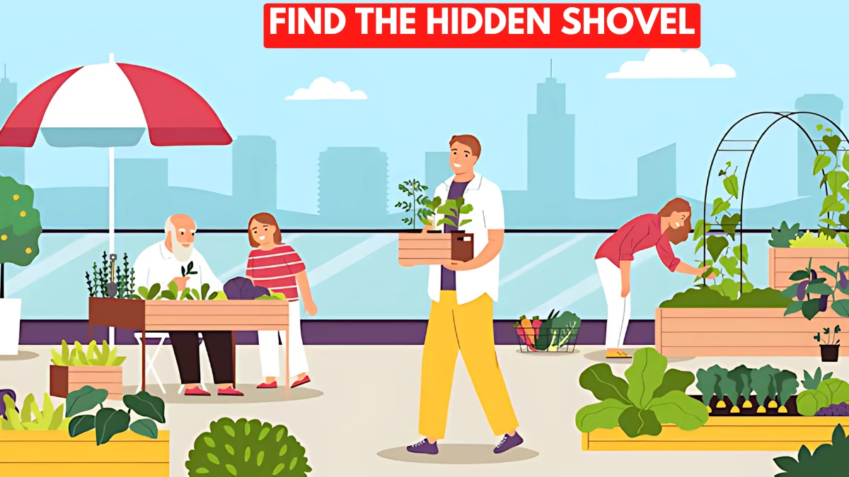 Optical Illusion image