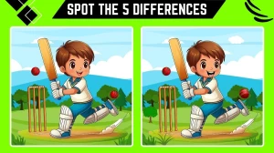 Optical Illusion Spot the Difference Game: Only Ge...