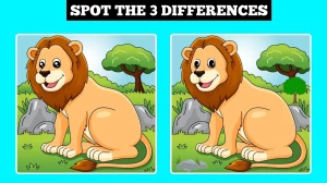 Optical Illusion Spot the Difference Game: Only Pe...