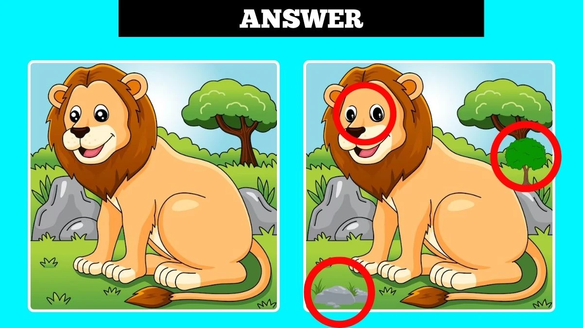Optical Illusion Spot the Difference Game: Only People with 4k Vision Can Spot the 3 Differences in this Lion Image in 10 Secs