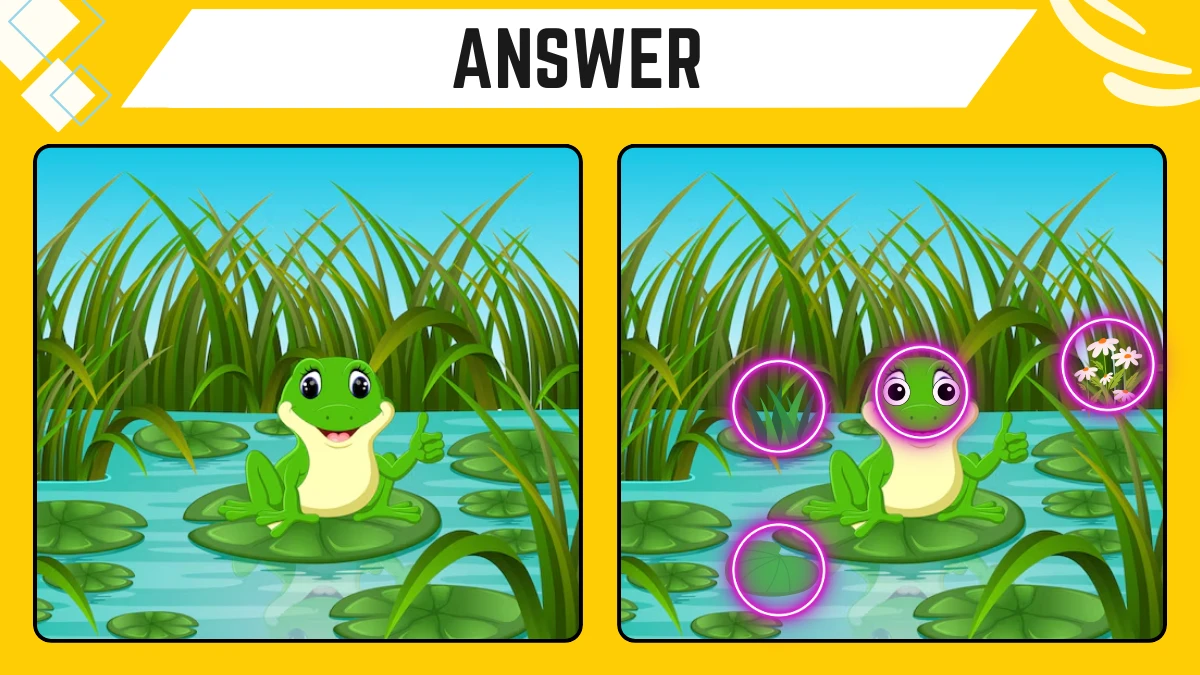 Brain Teaser Spot the Difference: Only People with 20/20 Vision Can Spot the 4 Differences in this Frog Image in 9 Secs Brain Teaser image