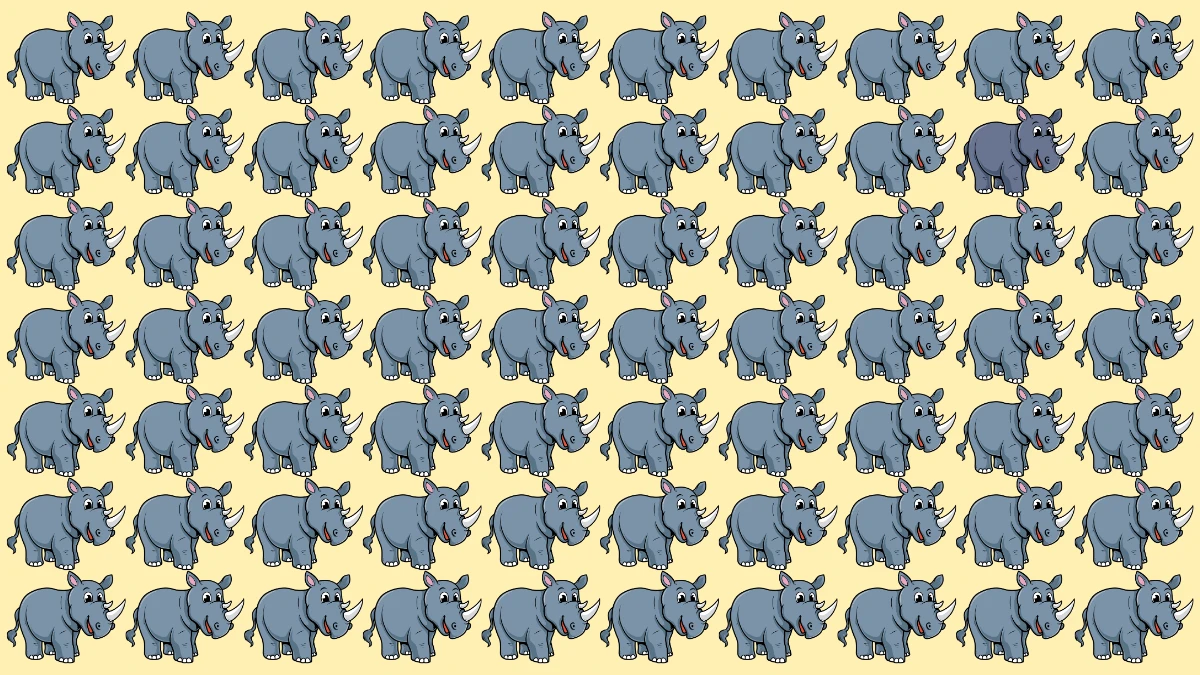 Brain Teaser IQ Test: केवल उच्च बुद्धि वाले व्यक्ति ही 5 सेकंड में अजीब गैंडे को ढूंढ सकते हैं Brain Teaser IQ Test: केवल उच्च बुद्धि वाले व्यक्ति ही 5 सेकंड में अजीब गैंडे को ढूंढ सकते हैं