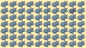 Brain Teaser IQ Test: केवल उच्च बुद्धि वाले व्यक्ति ही 5 सेकंड में अजीब गैंडे को ढूंढ सकते हैं Brain Teaser IQ Test: केवल उच्च बुद्धि वाले व्यक्ति ही 5 सेकंड में अजीब गैंडे को ढूंढ सकते हैं
