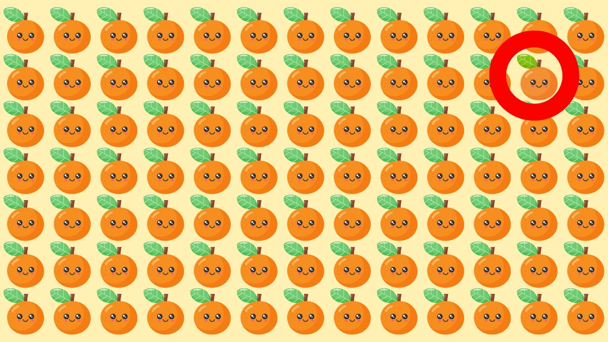 Brain Teaser Odd One Out Puzzle: 7 सेकंड में विषम संतरा ढूंढें Brain Teaser image