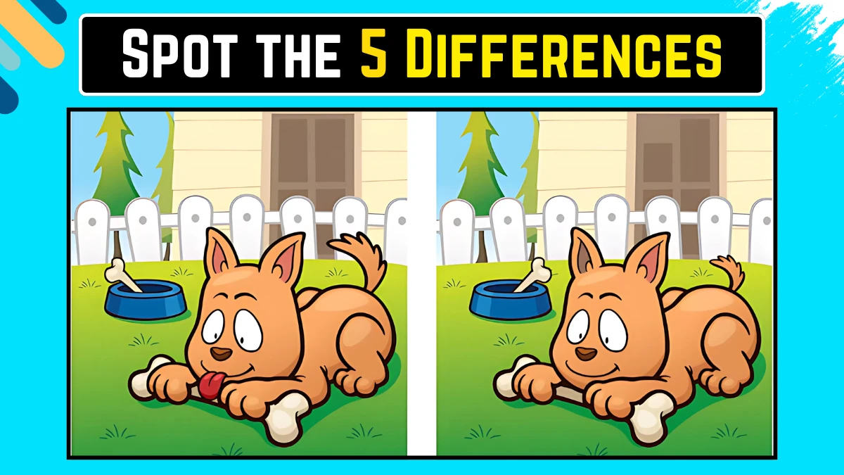 Brain Teaser Spot the Difference Game: केवल ईगल आंखों वाले लोग ही 15 सेकंड में इस कुत्ते की छवि में 5 अंतर पहचान सकते हैं Brain Teaser Spot the Difference Game: केवल ईगल आंखों वाले लोग ही 15 सेकंड में इस कुत्ते की छवि में 5 अंतर पहचान सकते हैं