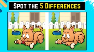 Brain Teaser Spot the Difference Game: केवल ईगल आंखों वाले लोग ही 15 सेकंड में इस कुत्ते की छवि में 5 अंतर पहचान सकते हैं