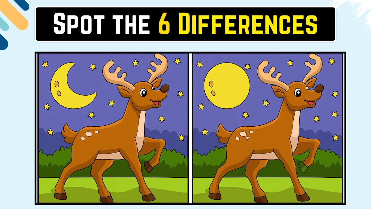 Brain Teaser Spot the Difference Game: केवल तेज़ नज़र वाले लोग ही 15 सेकंड में इस छवि में 6 अंतर पहचान सकते हैं Brain Teaser Spot the Difference Game: केवल तेज़ नज़र वाले लोग ही 15 सेकंड में इस छवि में 6 अंतर पहचान सकते हैं