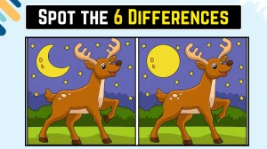 Brain Teaser Spot the Difference Game: केवल तेज़ नज़र वाले लोग ही 15 सेकंड में इस छवि में 6 अंतर पहचान सकते हैं