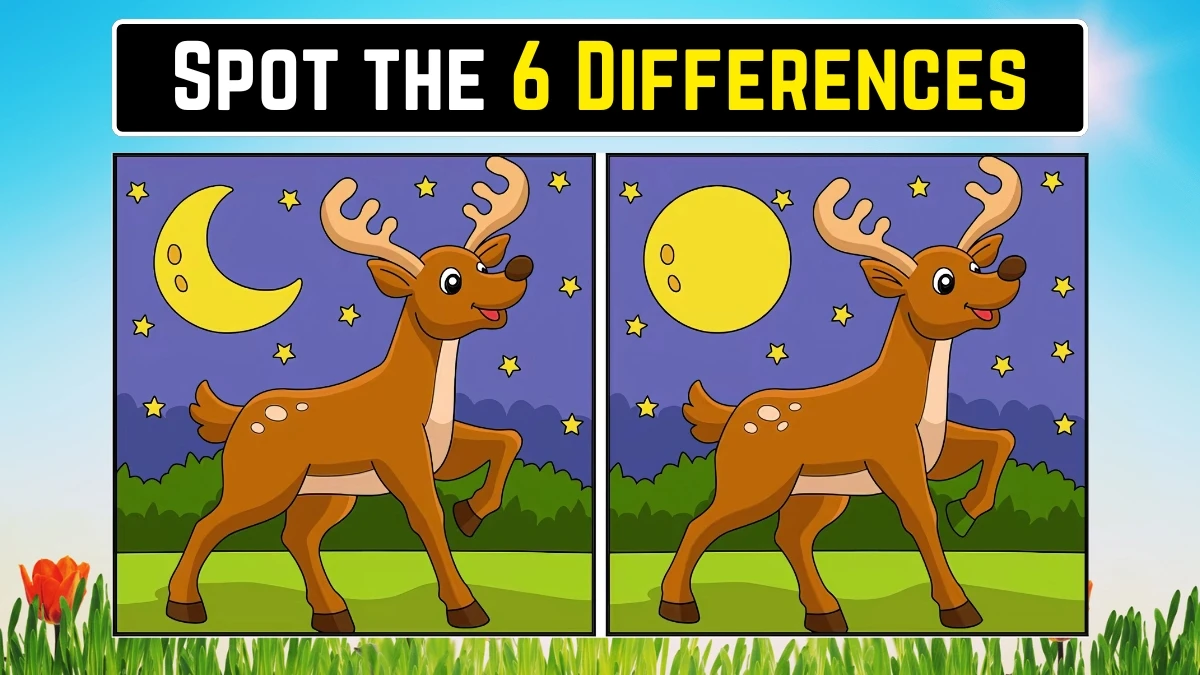Brain Teaser Spot the Difference Game: केवल बाज जैसी आंखों वाले लोग ही 20 सेकंड में इस छवि में 6 अंतर पहचान सकते हैं Brain Teaser Spot the Difference Game: केवल बाज जैसी आंखों वाले लोग ही 20 सेकंड में इस छवि में 6 अंतर पहचान सकते हैं