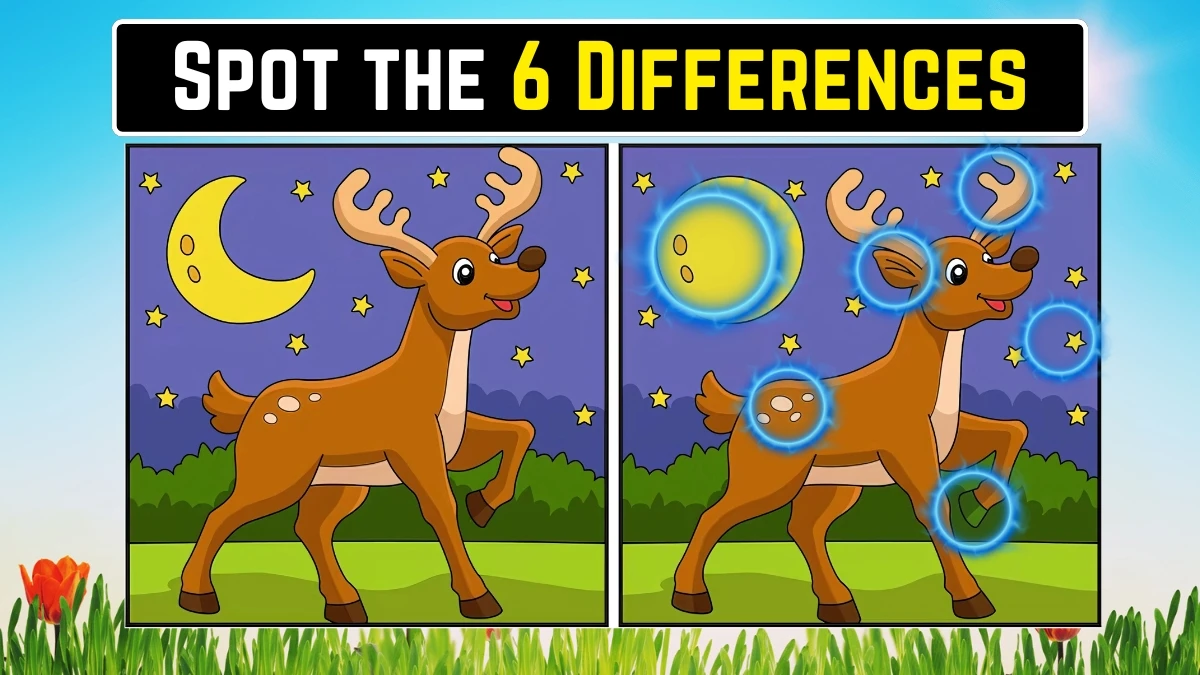 Brain Teaser Spot the Difference Game: केवल बाज जैसी आंखों वाले लोग ही 20 सेकंड में इस छवि में 6 अंतर पहचान सकते हैं Brain Teaser Spot the Difference Game: केवल बाज जैसी आंखों वाले लोग ही 20 सेकंड में इस छवि में 6 अंतर पहचान सकते हैं