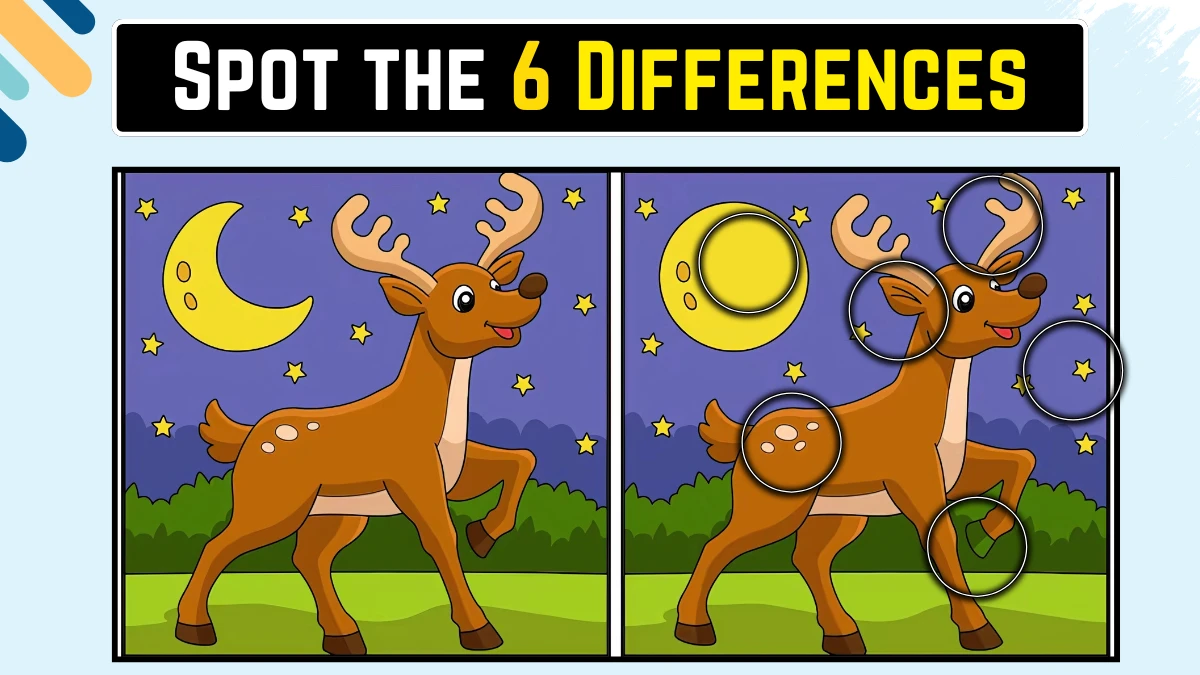 Brain Teaser Spot the Difference Game: केवल तेज़ नज़र वाले लोग ही 15 सेकंड में इस छवि में 6 अंतर पहचान सकते हैं Brain Teaser Spot the Difference Game: केवल तेज़ नज़र वाले लोग ही 15 सेकंड में इस छवि में 6 अंतर पहचान सकते हैं