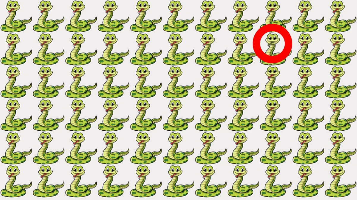 Brain Test: केवल बाज की आंखें ही 7 सेकंड में अजीब साँप को पहचान सकती हैं Brain Teaser image