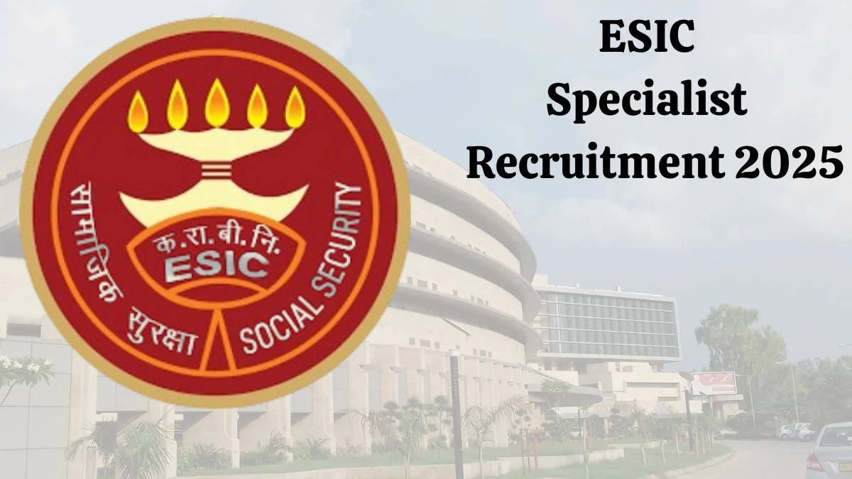 ESIC Specialist Grade II Recruitment 2025: Check Eligibility, Salary, Vacancy and Other details ESIC Specialist Grade II Recruitment 2025: Check Eligibility, Salary, Vacancy and Other details