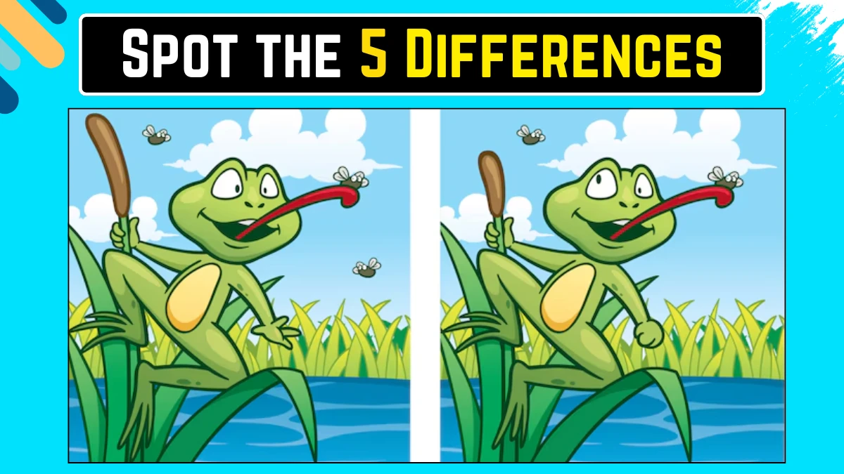 Optical Illusion Spot the Difference: केवल बाज की आंखें ही 12 सेकंड में इस मेंढक की छवि में 5 अंतर पहचान सकती हैं