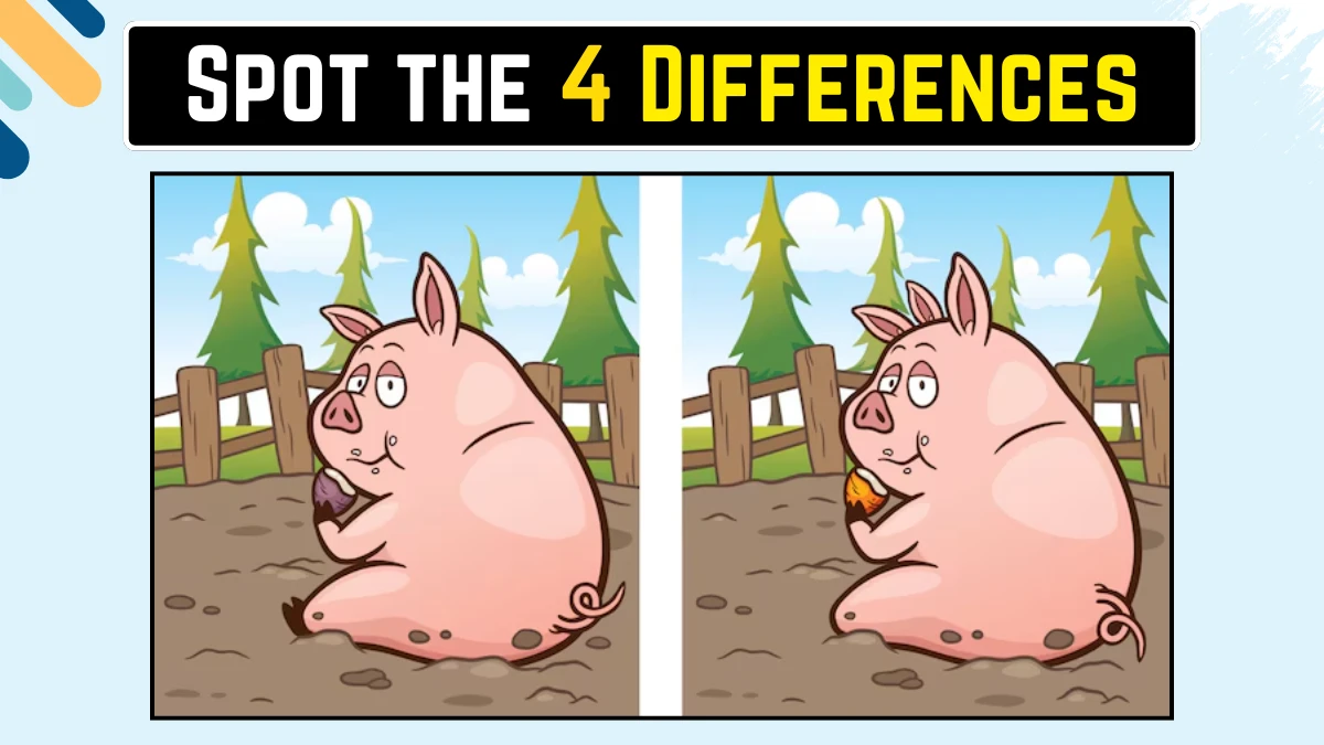 Optical Illusion Spot the Difference: केवल बाज की आंखें ही 15 सेकंड में 4 अंतर पहचान सकती हैं Optical Illusion Spot the Difference: केवल बाज की आंखें ही 15 सेकंड में 4 अंतर पहचान सकती हैं