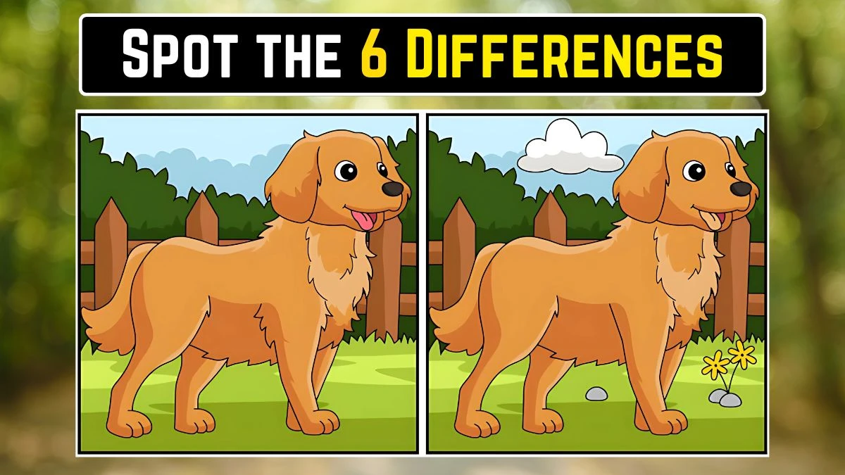 Optical Illusion Spot the Difference Game: केवल एक्स-रे विजन वाले लोग ही 15 सेकंड में इस कुत्ते की छवि में 6 अंतर पहचान सकते हैं Optical Illusion Spot the Difference Game: केवल एक्स-रे विजन वाले लोग ही 15 सेकंड में इस कुत्ते की छवि में 6 अंतर पहचान सकते हैं
