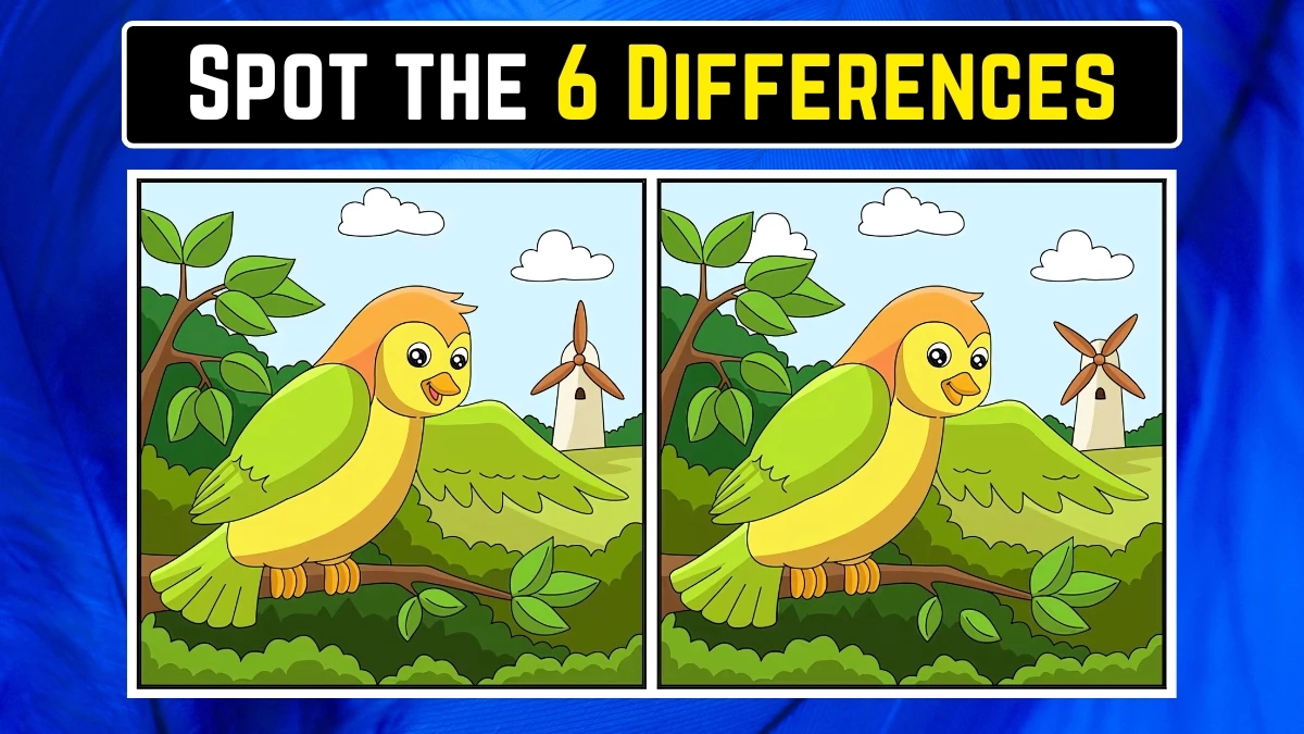 Optical Illusion Spot the Difference Game: केवल बाज की आंखें ही 16 सेकंड में 6 अंतर पहचान सकती हैं Optical Illusion Spot the Difference Game: केवल बाज की आंखें ही 16 सेकंड में 6 अंतर पहचान सकती हैं