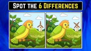 Optical Illusion Spot the Difference Game: केवल बाज की आंखें ही 16 सेकंड में 6 अंतर पहचान सकती हैं