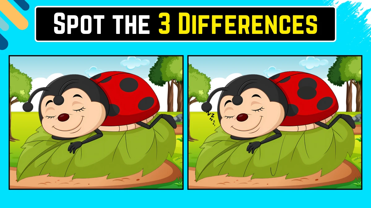Optical Illusion Spot the Difference Game: केवल 20/20 दृष्टि से 10 सेकंड में इस लेडीबग छवि में 3 अंतर पहचाने जा सकते हैं Optical Illusion Spot the Difference Game: केवल 20/20 दृष्टि से 10 सेकंड में इस लेडीबग छवि में 3 अंतर पहचाने जा सकते हैं