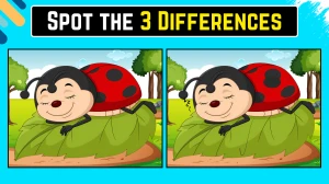 Optical Illusion Spot the Difference Game: केवल 20/20 दृष्टि से 10 सेकंड में इस लेडीबग छवि में 3 अंतर पहचाने जा सकते हैं Optical Illusion Spot the Difference Game: केवल 20/20 दृष्टि से 10 सेकंड में इस लेडीबग छवि में 3 अंतर पहचाने जा सकते हैं