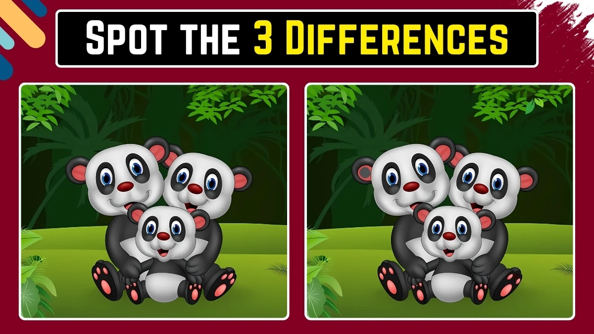 Optical Illusion Spot the Difference Game: केवल तेज़ नज़रें ही 6 सेकंड में इस पांडा छवि में 3 अंतर पहचान सकती हैं Optical Illusion Spot the Difference Game: केवल तेज़ नज़रें ही 6 सेकंड में इस पांडा छवि में 3 अंतर पहचान सकती हैं