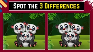 Optical Illusion Spot the Difference Game: केवल तेज़ नज़रें ही 6 सेकंड में इस पांडा छवि में 3 अंतर पहचान सकती हैं Optical Illusion Spot the Difference Game: केवल तेज़ नज़रें ही 6 सेकंड में इस पांडा छवि में 3 अंतर पहचान सकती हैं
