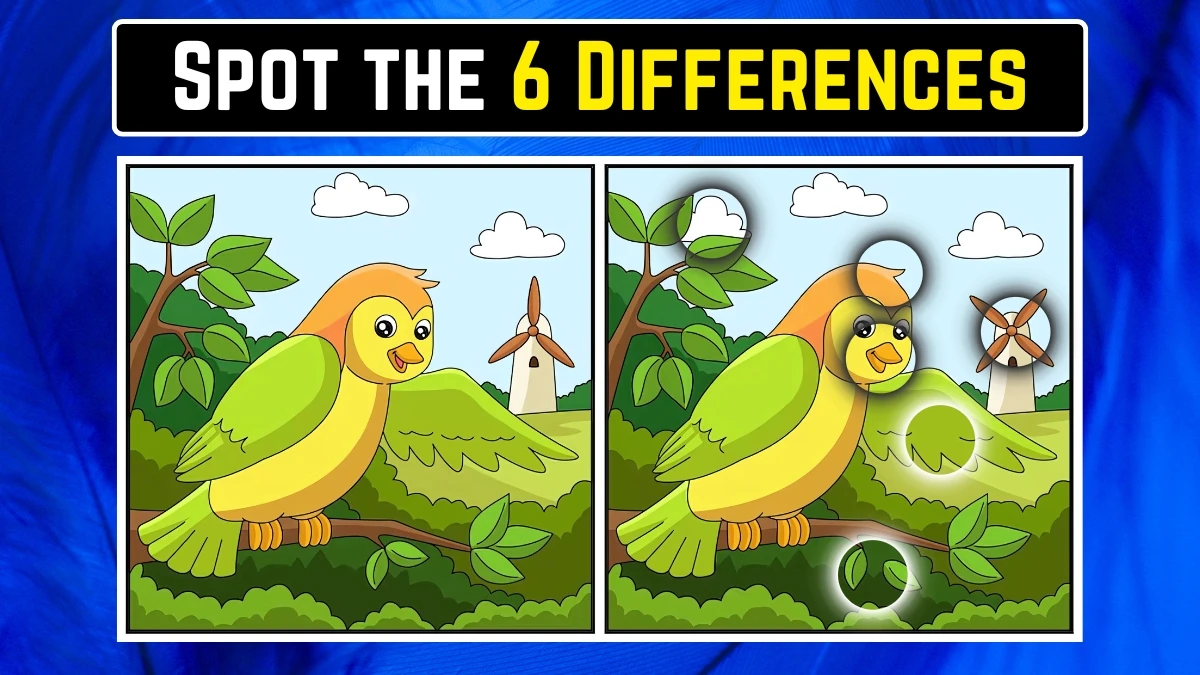 Optical Illusion Spot the Difference Game: केवल बाज की आंखें ही 16 सेकंड में 6 अंतर पहचान सकती हैं Optical Illusion Spot the Difference Game: केवल बाज की आंखें ही 16 सेकंड में 6 अंतर पहचान सकती हैं
